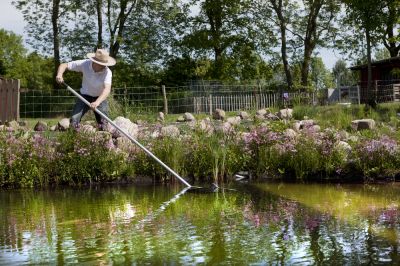 Get Your Pond Cleaned as Needed!