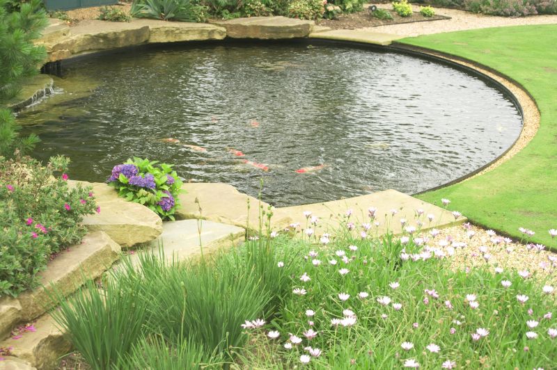 Pond Water Testing Resources and Tips