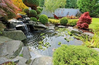 Identify Issues in Your Pond Before They Become Bigger Problems!