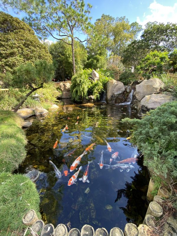 Pond Water Testing