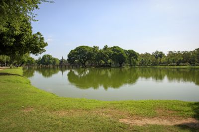 Improve Water Quality in Your Pond!